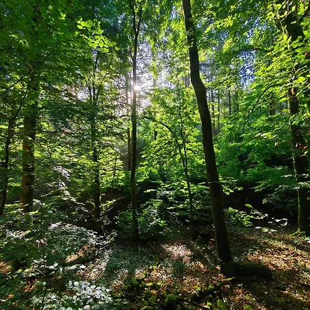 Ferienhaus Am Schloss