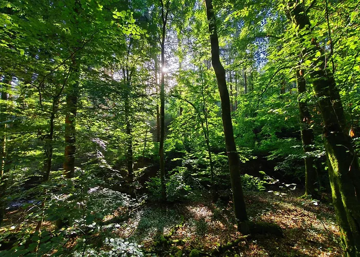 Prázdninový dům Am Schloss